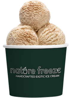 Vanilla Cinnamon with Biscoff